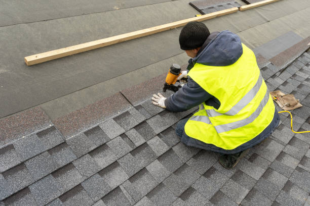 Best Roof Gutter Cleaning  in Augusta, WI